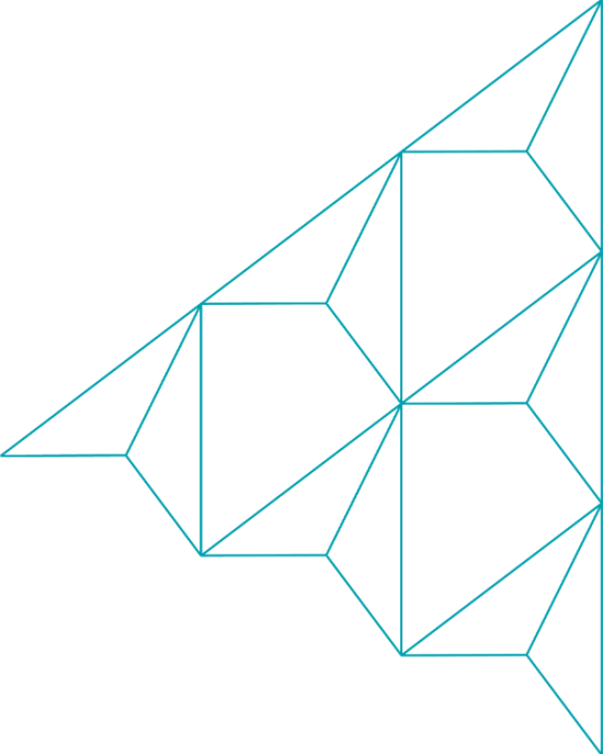 JA-Brasil-Textura.png